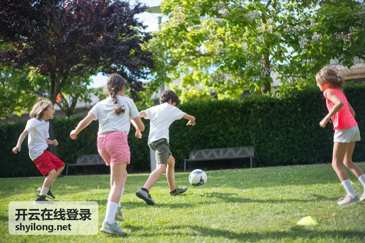 开云在线登录权限变更后的复核步骤